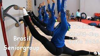 Seniorgroup Brasil (BRA) Training World Cup Sofia 2016
