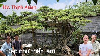 Anh em kéo đến xem vườn cây anh Thịnh Asian