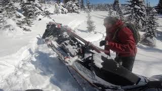 Sled Ski Life - Mo Pros