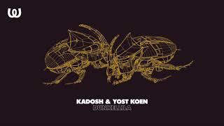 Kadosh & Yost Koen - Dunkellila