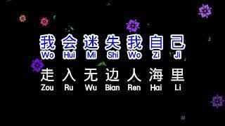 小阿枫  《 我只在乎你 》  wo zhi zai hu ni