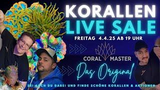  Korallen Live Sale Beim Coral Master Wiesbaden -  100 Ausgewählte Korallen & Rabatt Aktionen 