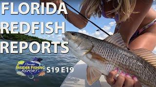 The FLORIDA REDFISH Bite Is HOT | S19 E19