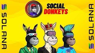 Social Donkeys NFT - Upcoming Solana NFT | 3D NFTs