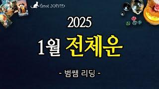 [타로]  1월 전체 운세  [2025년 1월] ️