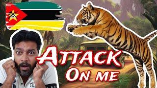 Mozambique Namasha city |Mozambique Maputo city |Tiger attack on me| Mozambique travel