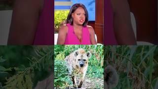 Viola Davis revealed encountering a coyote in her backyard#short#Viola Davis#celebrity#interview