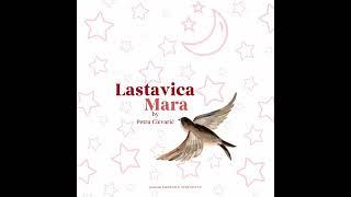 Priče za laku noć by Petra Cicvarić  - Lastavica Mara