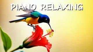 ‍️ Deep Meditation Piano | Enhance Mindfulness with Nature Sounds | Oxy Music