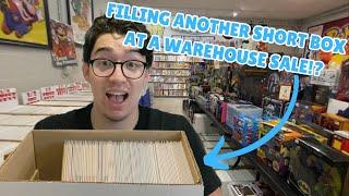 Another Huge Comic Book Haul At A Warehouse Sale!! And A Deal In The Parking Lot??