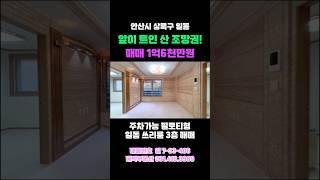 앞이 트인 산조망권! 깨끗한 쓰리룸 빌라 매매 안산빌라 일동빌라 #shorts #short