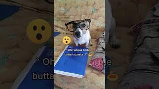 I corti compilation #jackrussell #fumagalli #corti #comedy