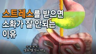 기능성 소화 불량 - 코로나19 시대, 당신의 위가 위험하다! (KBS_752회_2020.11.11 방송)