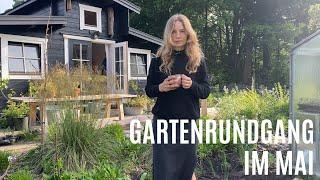 Gartenrundgang Mai 2024 |  Gemüsegarten, Waldgarten & Gewächshaus