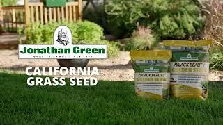 Black Beauty Golden State California Premium Grass Seed | Commercial