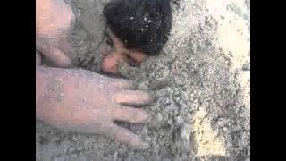 Discover of human fossils