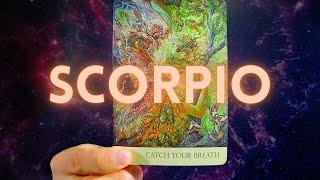 SCORPIO URGENT‼️ SOMEONE WHO DIED WANTS YOU TO KNOW THIS  NOVEMBER 2024 TAROT LOVE READING