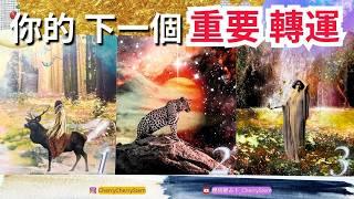    你的運勢正在逆轉｜ 你的下一個重要轉運 好運正在向你靠近 ️ 有字幕 🟣無時間限制占卜 🟡  #塔羅 #占卜 #字卡 #tarot #oracle #戀愛 #感情 #愛 #事業 #貴人