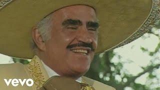 Vicente Fernández - Un Millon De Primaveras