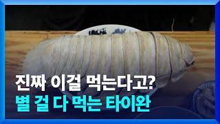 진짜 이걸 먹는다고?…별 걸 다 먹는 타이완 [잇슈SNS] / KBS 2023.06.01.