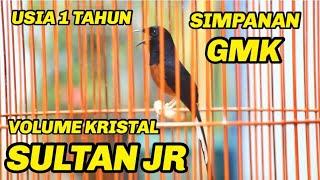 SIMPANAN KOH SLAMET GMK - SULTAN JR