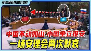 会议解说：大国不动如山，小国坐立难安！安理会10秒精彩博弈，逐帧分析罕见的一场双默哀！2023.02.24会议丨小Q解读联合国