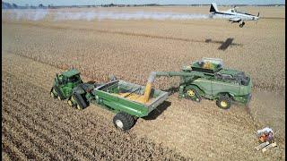 CORN HARVEST 2022 with 3 JOHN DEERE X9 Combines