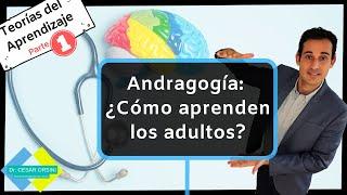 Andragogía ¿cómo aprenden los adultos? | Teorías del Aprendizaje | Dr. Cesar Orsini