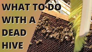 What to do with a dead hive