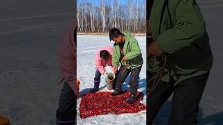 [Pt-110] Fish catching video #nature #fishing