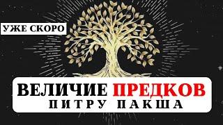 ВЕЛИЧИЕ И ПОЧИТАНИЕ ПРЕДКОВ, ПИТРУ ПАКША, КОРИДОР ЗАТМЕНИЙ, СИЛА РОДА, РАБОТА С РОДОМ, МАРАФОН, ВЕДЫ