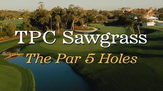 TPC Sawgrass: The Par 5 Holes