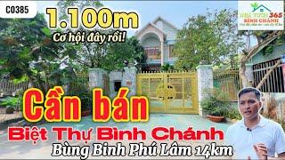 Biệt Thự Bình Chánh | Cần bán Gấp 1.100m2 Biệt Thự sân Vườn | Nhà Vườn 365 Bình Chánh | C0385