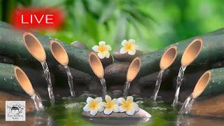  Spa Music 24/7, Stress Relief Music, Relaxation Music, Massage Music, Sleep Music, Waterfall