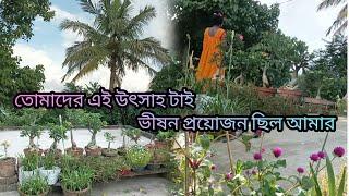 তোমাদের এত ভালো ভালো কমেন্ট গুলিআমায় ভীষণ ভাবে উৎসাহিত করে তোলে নতুন ভিডিও বানানোর জন্য। 