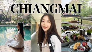 VLOG. 치앙마이 왜 안가요?..방콕보다 100배 좋아요 (숙소 추천, 찐맛집, 한달살이 맘먹음, 재즈 펍, 카페 추천)