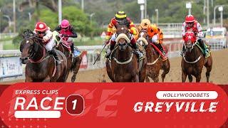 20240629 Hollywoodbets Greyville Race 1 won by DANTONFROMSANDTON