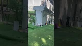 #포크테일