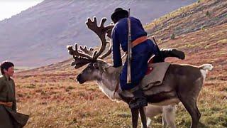 Les Tsaatan chevauchent les rennes de Mongolie - Seigneurs des Animaux