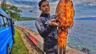 SPEARFISHING TIDORE KEPULAUAN DAN PULAU MARE DAPAT BANYAK IKAN BABON DAN SUNTUNG BESAR!