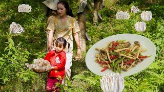 Harvesting Fresh Mushrooms from the Forest & Cooking Delicious Dishes | Country Life with a Girl