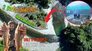 2 Days Group Camping at 0°C & Trout Fishing in Rainforest: The Quest for Legendary Trout | Part 1