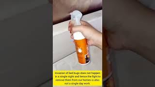 Are you looking for best bed bug spray? product link in description