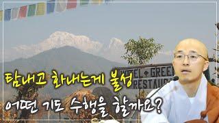 [어록(7)] 탐내고 화내는 것이 곧 불성, 어떤 기도 수행을 할까요? - 달마 오성론