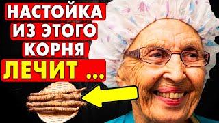 90% БОЛЕЗНЕЙ печени Уйдут! Застоев Желчи НЕ БУДЕТ. Бесценные советы Иван Павловича Неумывакина