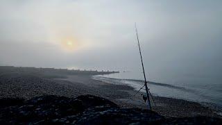SEA FISHING UK - FIRST TRY FOR A SMOOTHOUND AT LANGNEY POINT - EASTBOURNE
