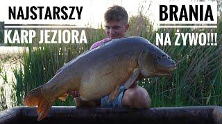 BRANIA NA ŻYWO!!! - NAJSTARSZY KARP JEZIORA - Łowisko Kormoran