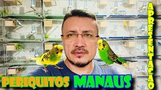 PERIQUITOS MANAUS.   APRESENTAÇÃO.