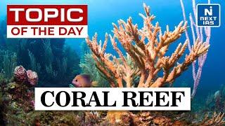 Coral Reef and Coral Bleaching - UPSC | NEXT IAS