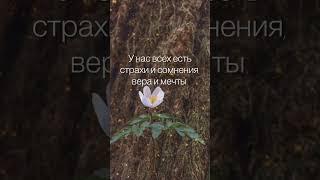 #вдохновение #высокие_вибрации #самопознание #саморазвитие #любовь